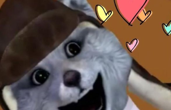 虎牙浣熊君真人照片