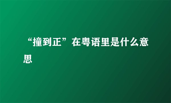 “撞到正”在粤语里是什么意思