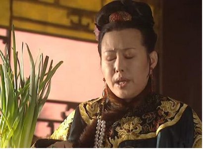 如何评价电视剧《康熙王朝》？