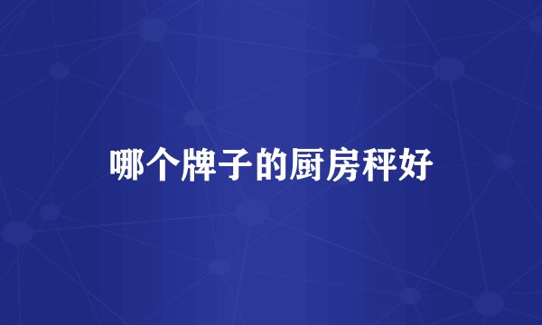 哪个牌子的厨房秤好