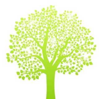 香港公司注册需具备哪些条件以及相关的流程