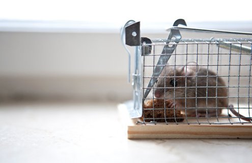 河南安阳一村庄多人中毒，这是怎么回事？