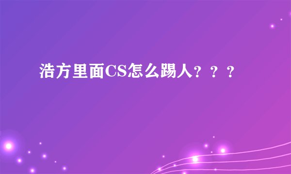 浩方里面CS怎么踢人？？？