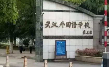 武汉中学排名
