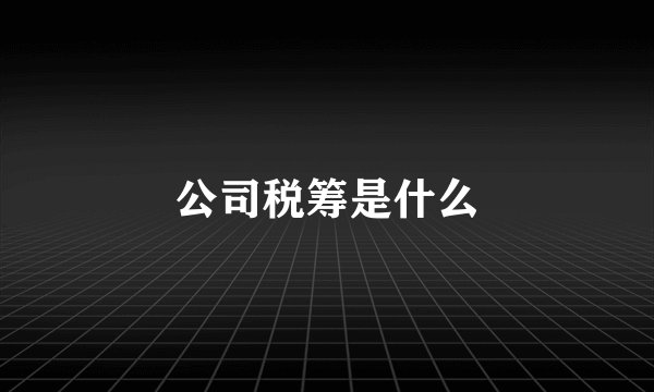 公司税筹是什么