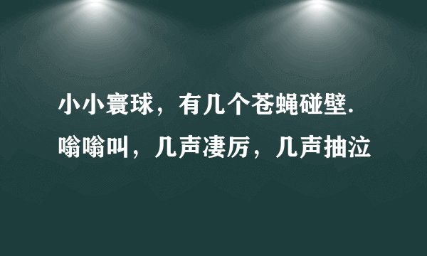 小小寰球，有几个苍蝇碰壁.嗡嗡叫，几声凄厉，几声抽泣