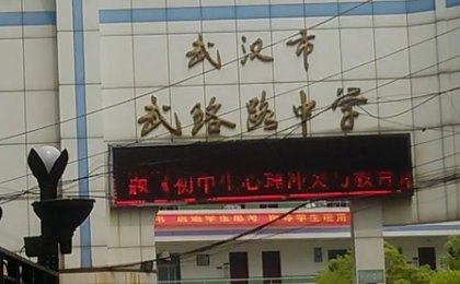 武汉中学排名