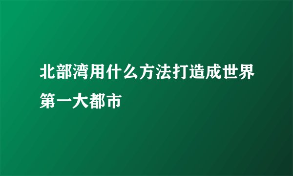 北部湾用什么方法打造成世界第一大都市