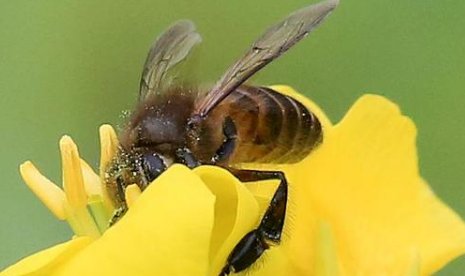 爱因斯坦的三大预言是什么？都实现了吗？