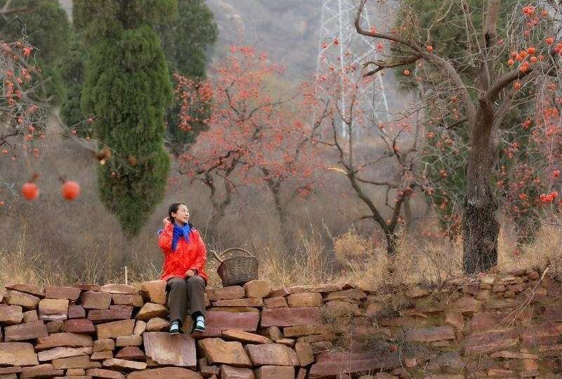 王茜华出演的电视剧有哪些？