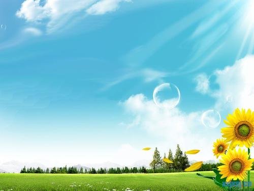 如何在PPT中嵌入视频