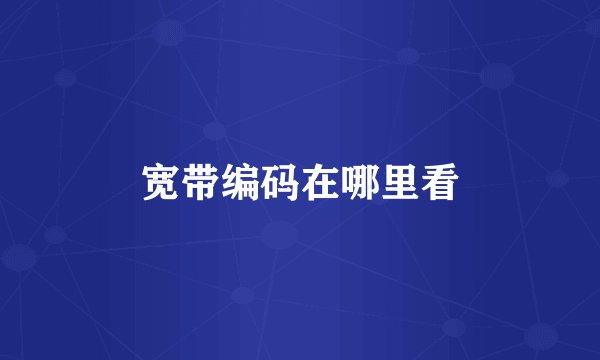 宽带编码在哪里看
