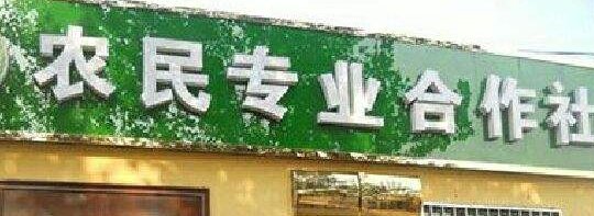 农业合作社帐务如何处理