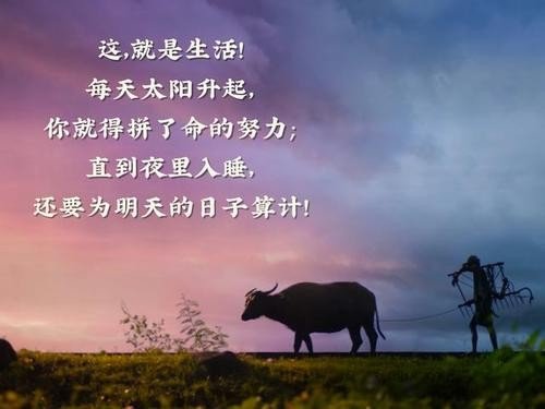 为什么人到中年不得已