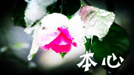 何为本心???本心是什么意思?