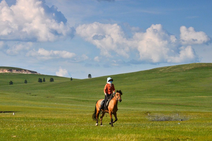 请问内蒙古在哪里，是哪个省