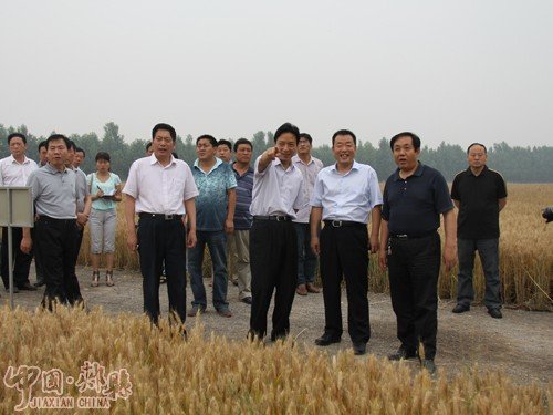 王宏希的个人简历