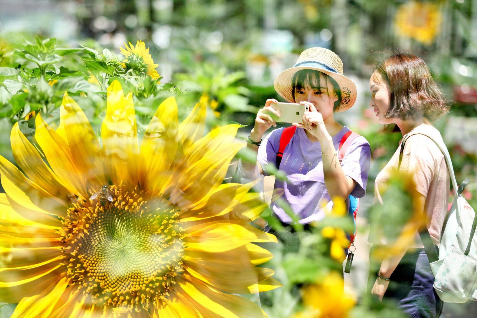 爱炒股的人都有些什么特点