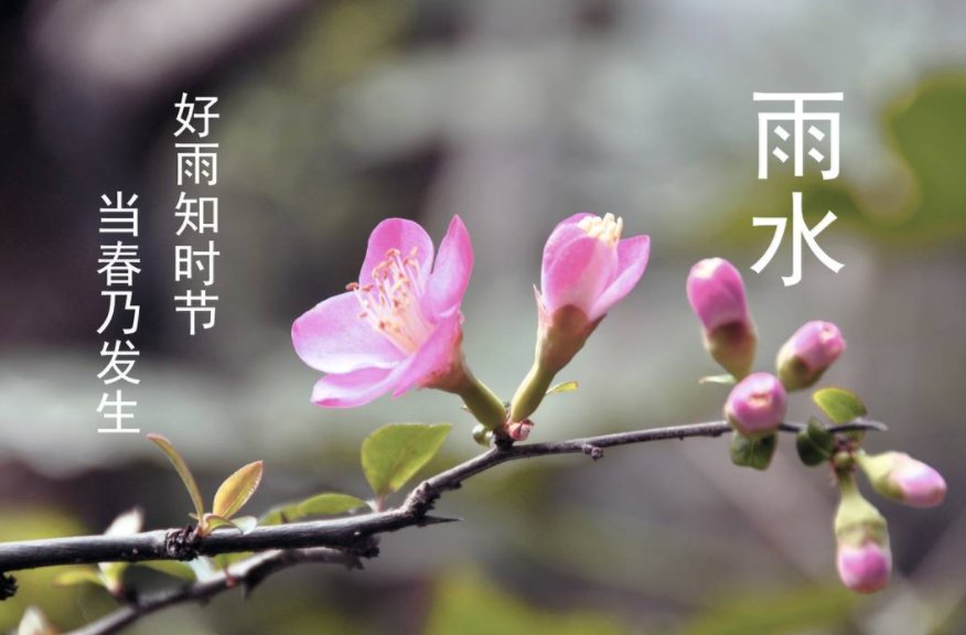 ‘好雨知时节，当春乃发生’的赏析