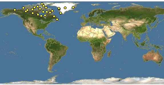 北极巨兔是什么梗？