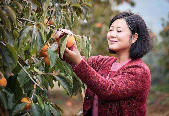 王茜华出演的电视剧有哪些？