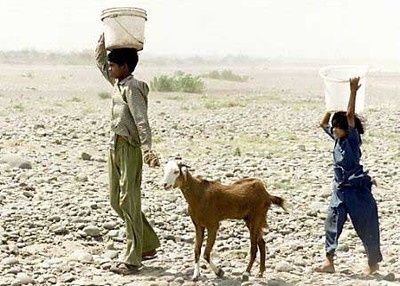 印度达到50度高温,是122年来最强热浪,是否会造成人员伤亡?