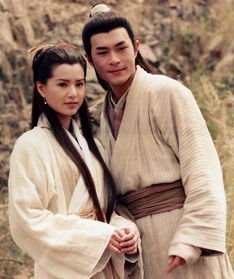 《神雕侠侣》中杨过最后到底怎么死的？