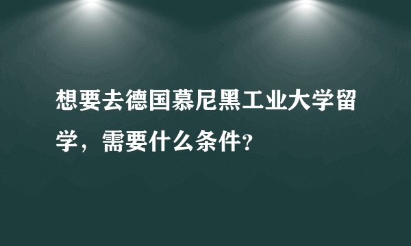 想要去德国慕尼黑工业大学留学，需要什么条件？