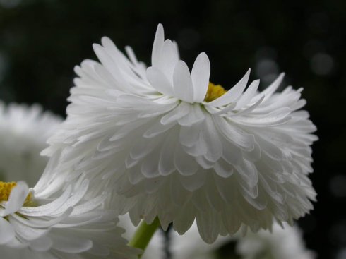 “南京大屠杀”死难者国家公祭日，国家设立公祭日的意义是什么？