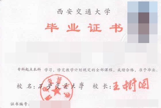 学历和学位的区别是什么?怎么填写？