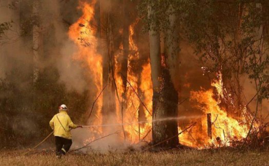 2020澳洲大火烧了几个月