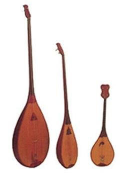 什么是弹拨乐器啊？