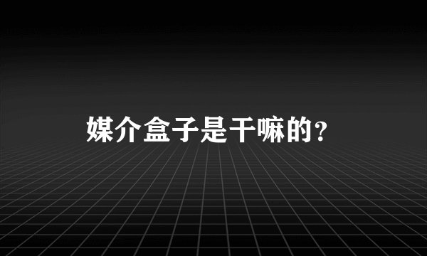 媒介盒子是干嘛的？