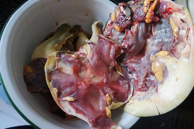 乌龟怎么做好吃?