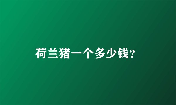 荷兰猪一个多少钱？