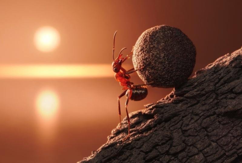 什么是四维生物？为什么人类无法感知到四维空间？