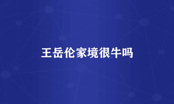 王岳伦家境很牛吗