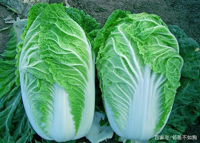 什么是甲醛白菜？我们应该如何识别甲醛白菜？