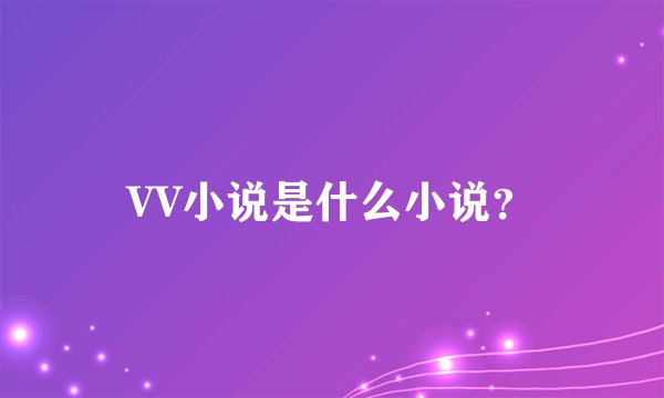 VV小说是什么小说？