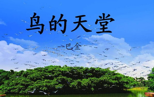 那鸟的天堂的确是鸟的天堂啊!第一个鸟的天堂加引号是因为什么,第二个鸟的天堂又是