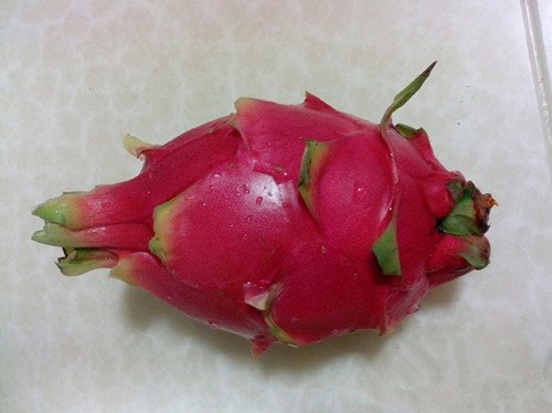 糯米小说论坛的糯米小说论坛简介