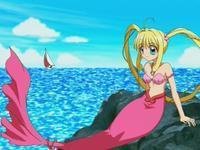 宝生波音、白井渚的图片