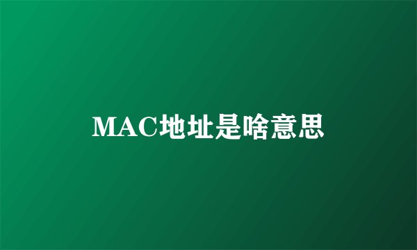 MAC地址是啥意思