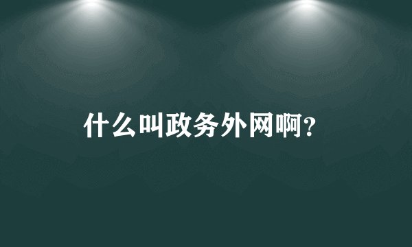 什么叫政务外网啊？