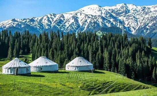 中国最大的省份是哪个省?