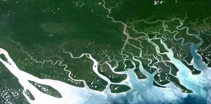 支流和干流怎么区分啊？支流是什么意思？干流是什么意思？