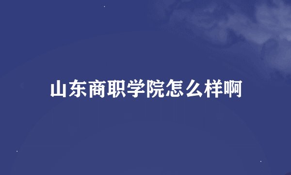山东商职学院怎么样啊