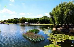 驾驶证到期换证道里在哪里体检具体位置