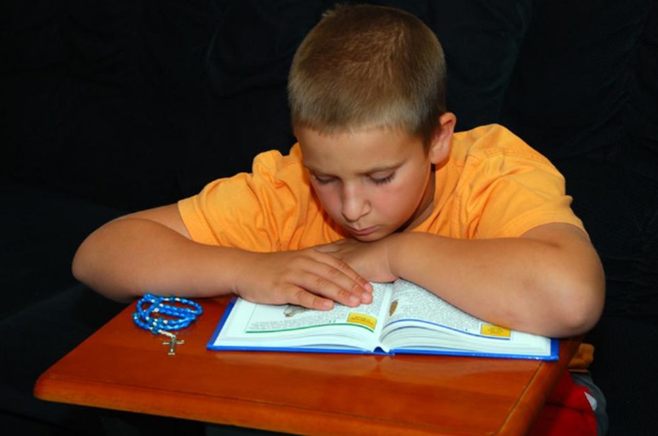 好看的书籍排行榜前十名