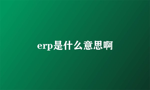 erp是什么意思啊